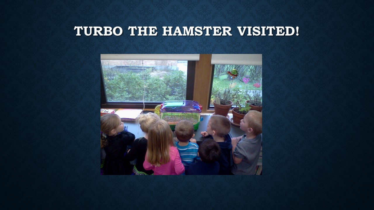 Slide9
