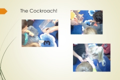 Slide6