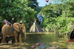 Jungle river nature - Mindoro island